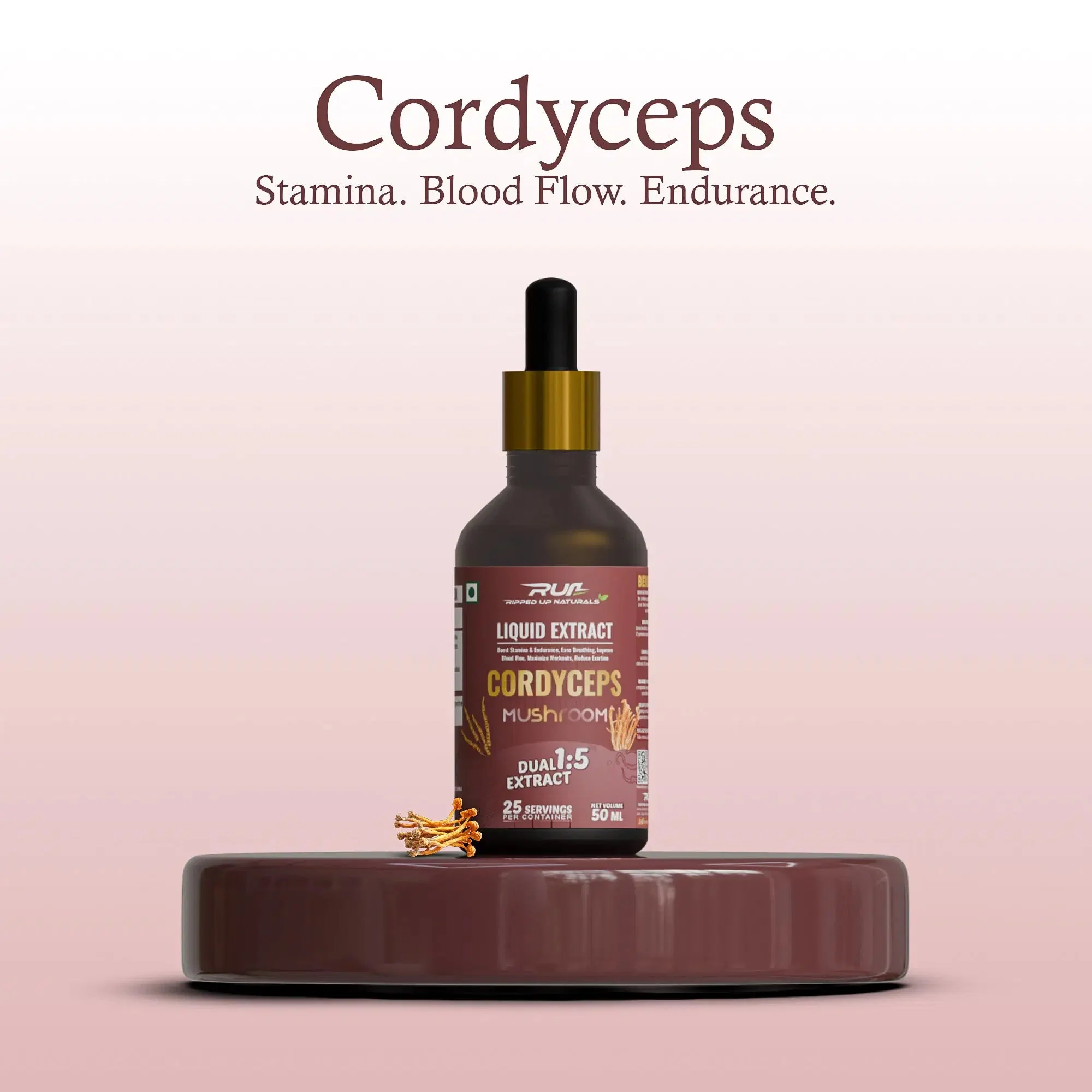 Cordyceps Mushroom Liquid Extract - Image 3