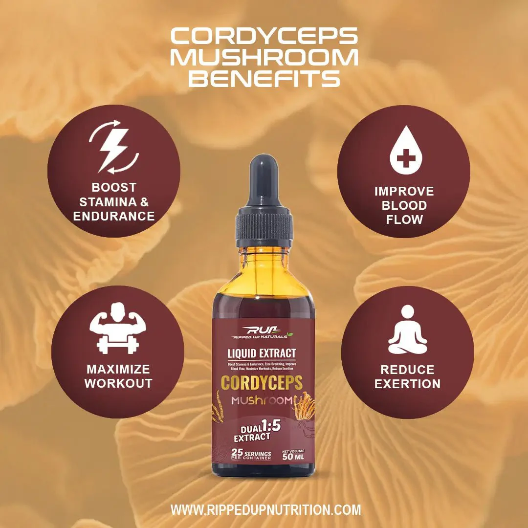 Cordyceps Mushroom Liquid Extract - Image 9