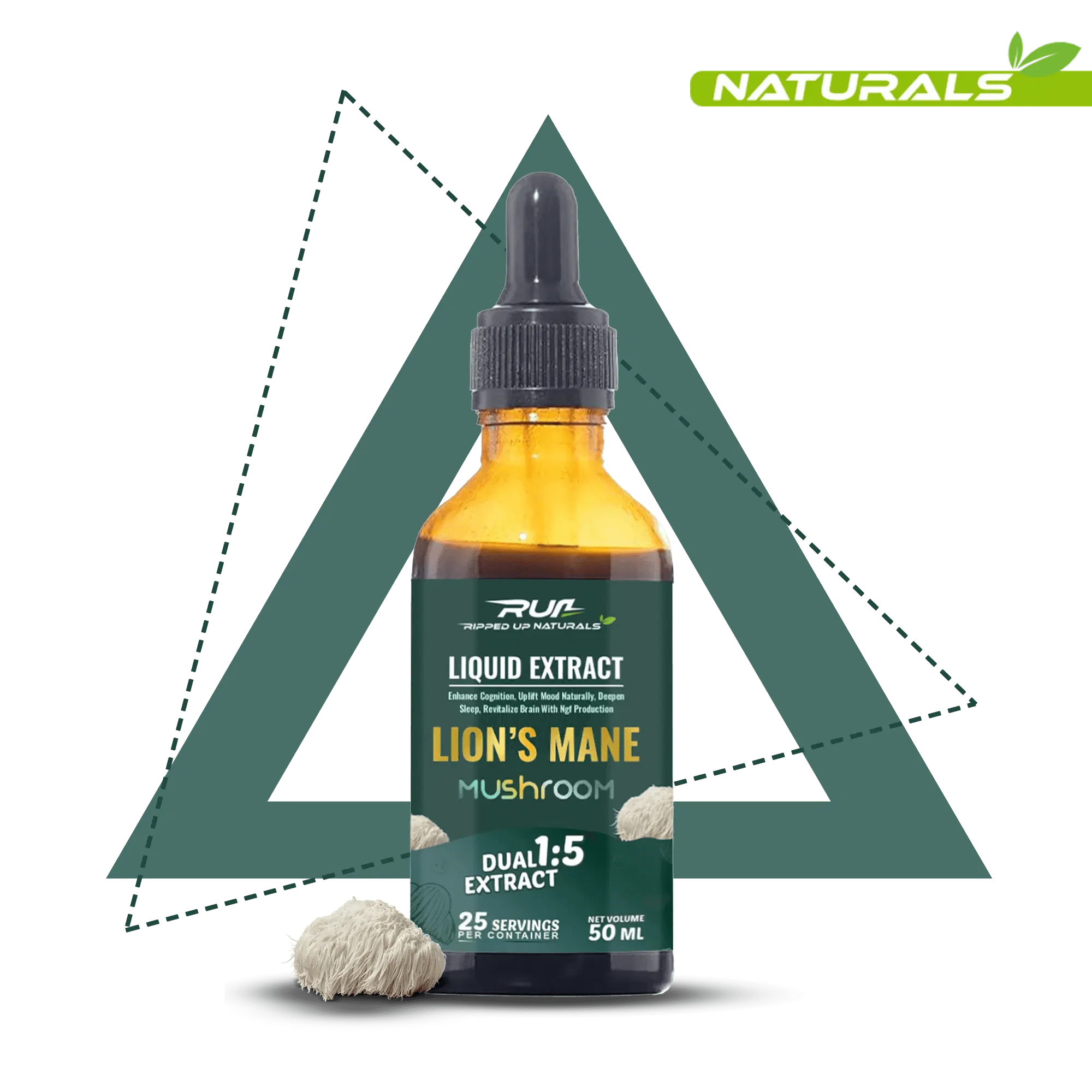 Lion's Mane Mushroom Liquid Extract - Image 3