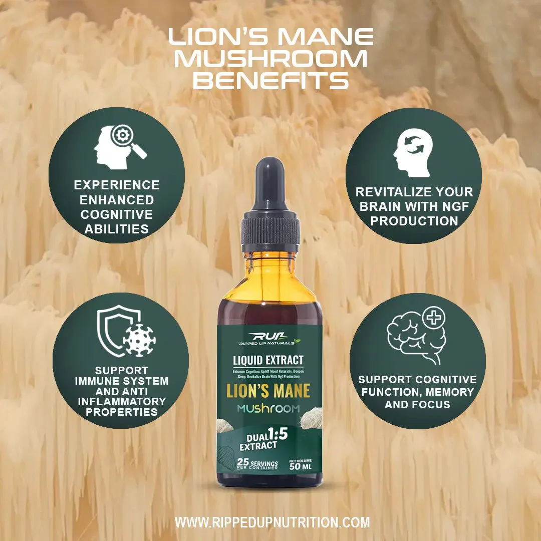 Lion's Mane Mushroom Liquid Extract - Image 8