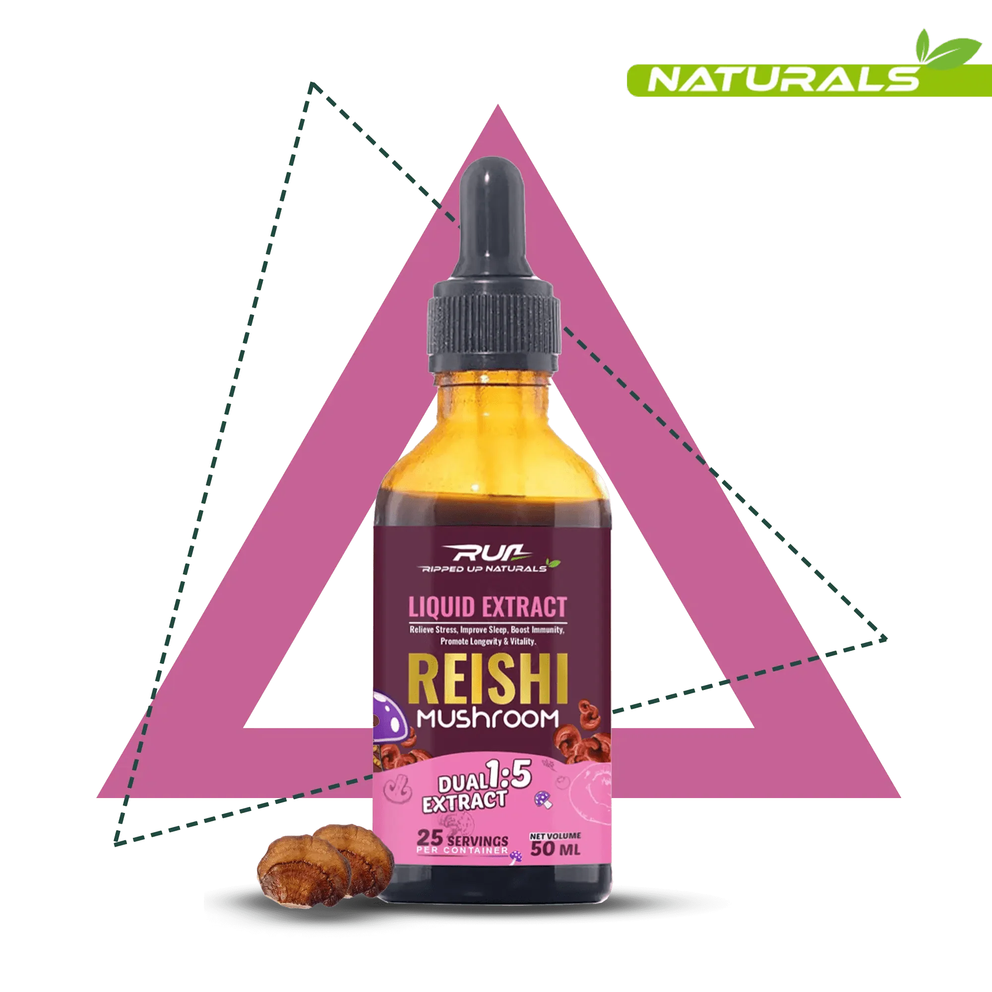 Reishi Mushroom Liquid Extract - Image 4