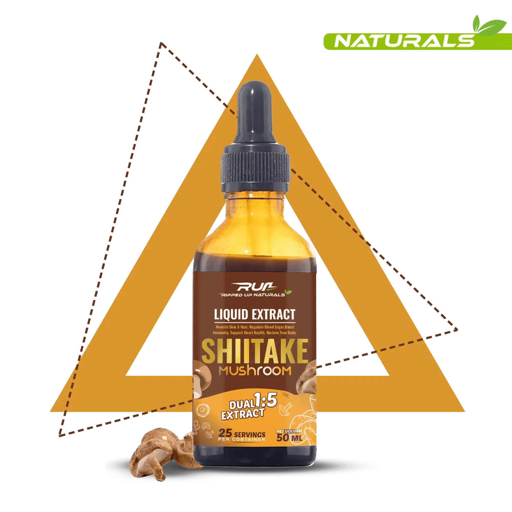 Shitake Mushroom Liquid Extract - Image 3
